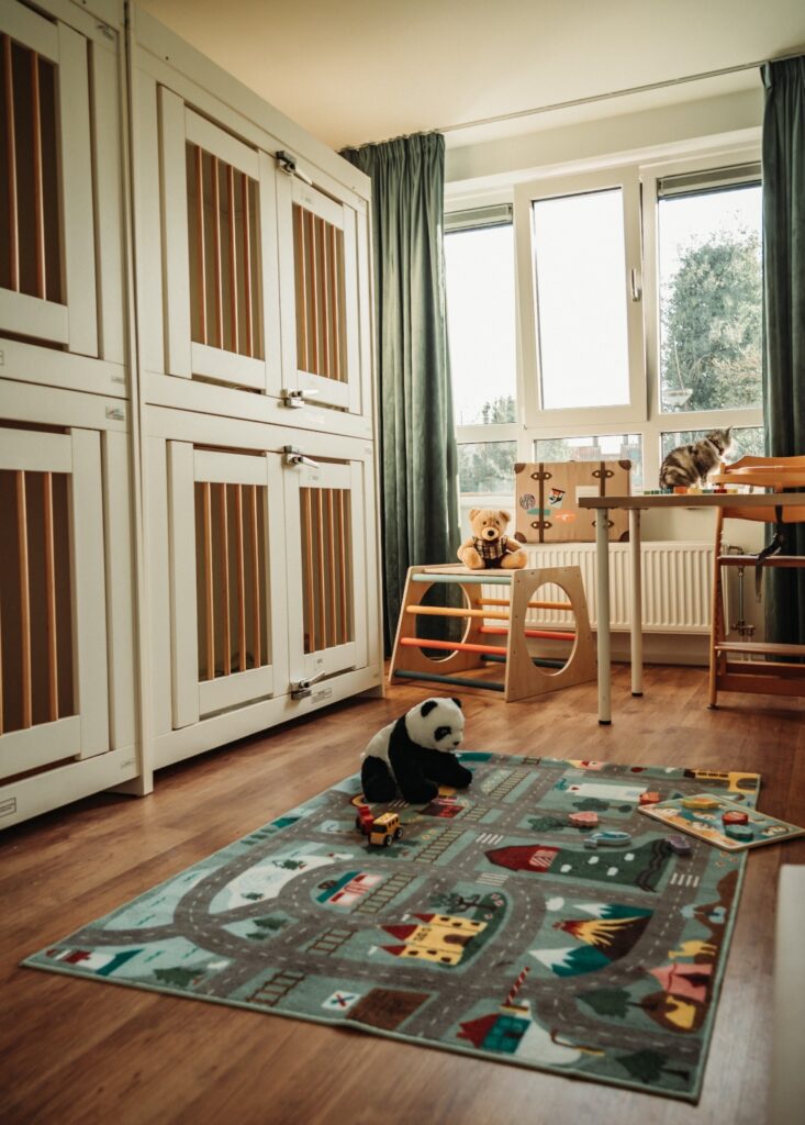 60e53ff8-195a-40ea-93b4-42ce93f191e7